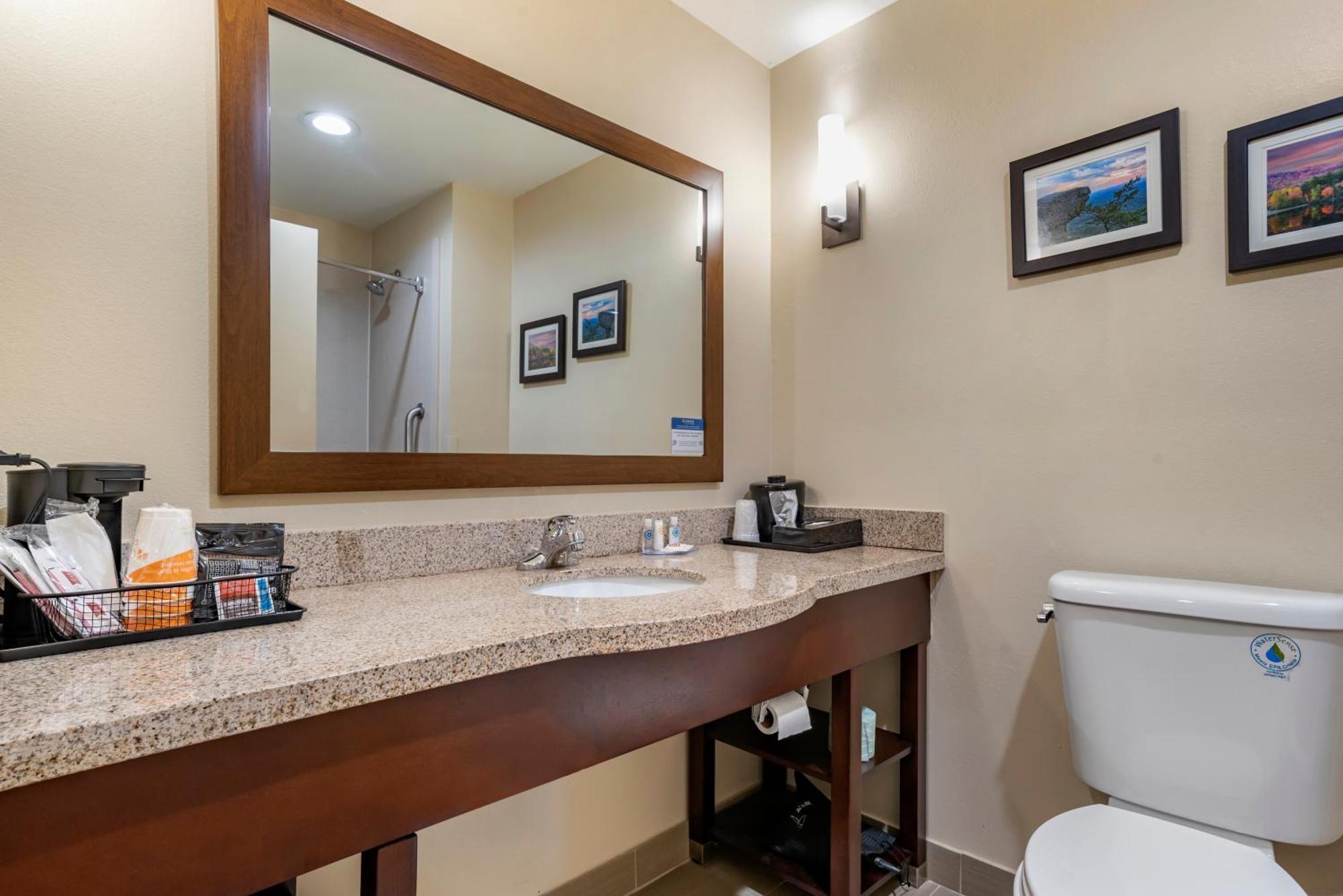 Comfort Suites Pell City I-20 Exit 158 Zewnętrze zdjęcie